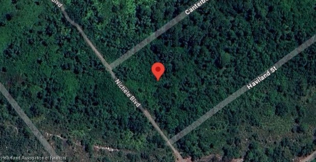 455 Nichele Blvd, Lake Placid, FL 33852 - photo 4