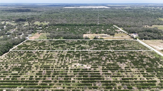 700 Sheriffs Tower Rd, Sebring, FL 33870 - photo 12