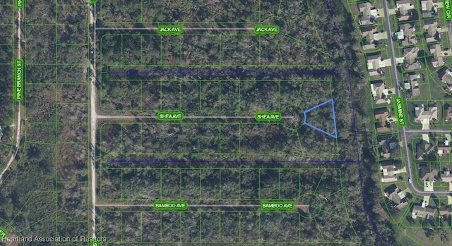 3000 Shea Ave, Lake Placid FL, 33852 land for sale