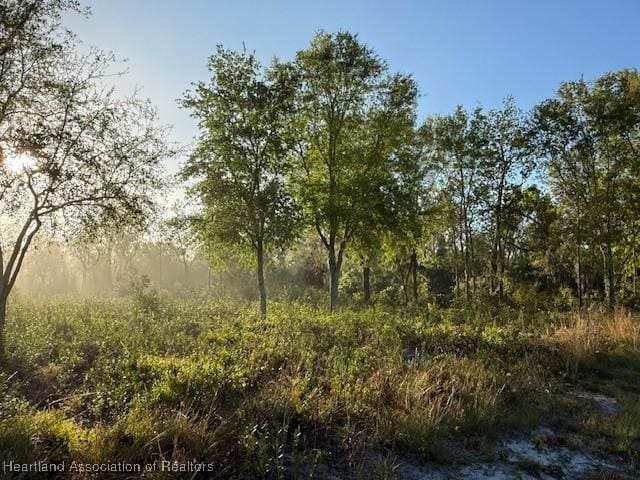 200 N Riverdale Rd, Avon Park FL, 33825 land for sale