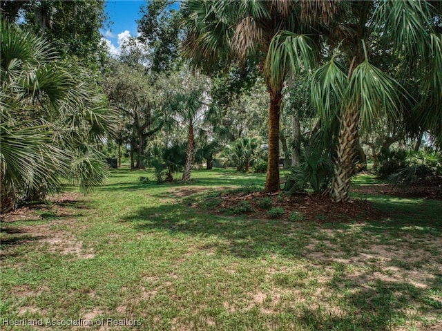 3003 Oakhill Dr, Avon Park, FL 33825 - photo 11