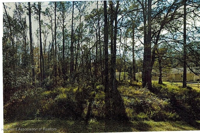 Lot29 Deedra Drive, FL, 33544 land for sale