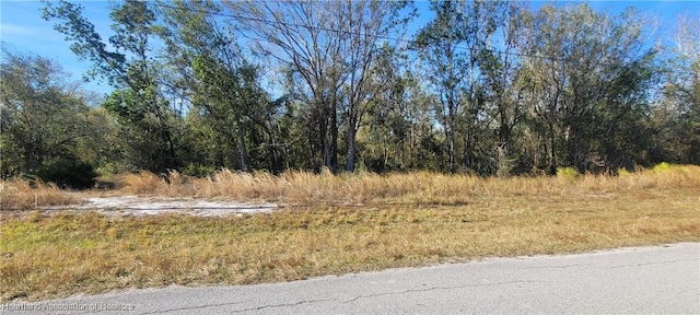 Golfview Dr, Wauchula FL, 33873 land for sale