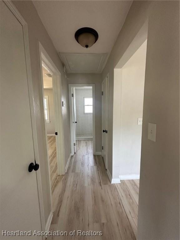 602 Wilhite St, Avon Park, FL 33825 - hall with light wood-type flooring and baseboards