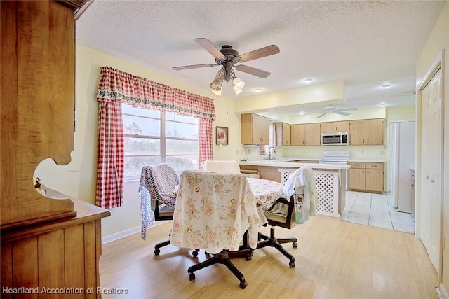 dining room with ceiling fan, sink, a textured ceiling, and light wood-type flooring