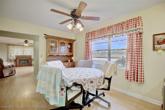 dining room featuring ceiling fan, a fireplace, and light hardwood / wood-style flooring