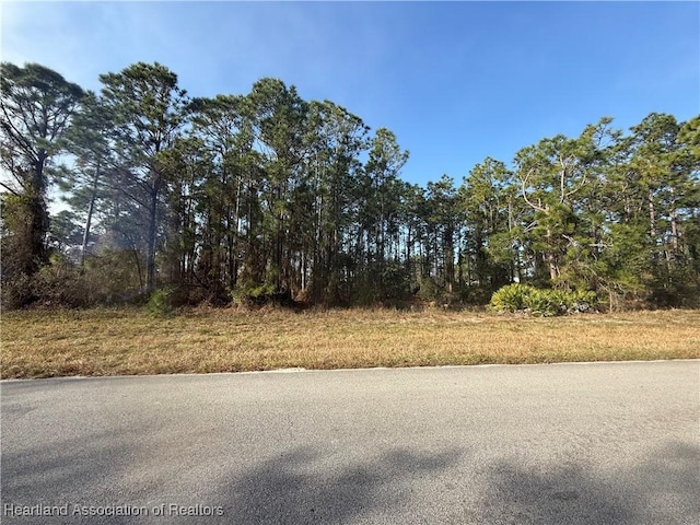 Listing photo 3 for 662 Wildflower St, Lake Placid FL 33852