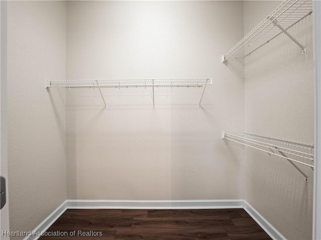 897 Entrance Rd, Avon Park, FL 33825 - walk in closet featuring dark wood-style flooring