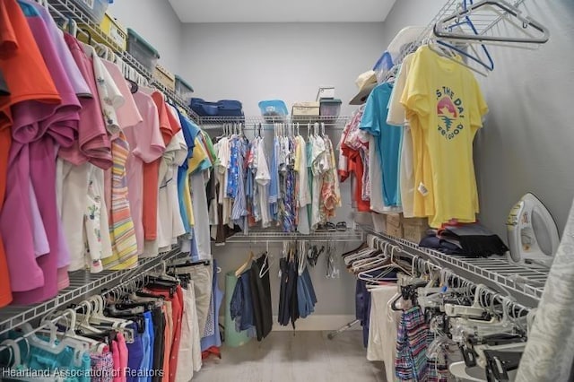 spacious closet featuring wood-type flooring