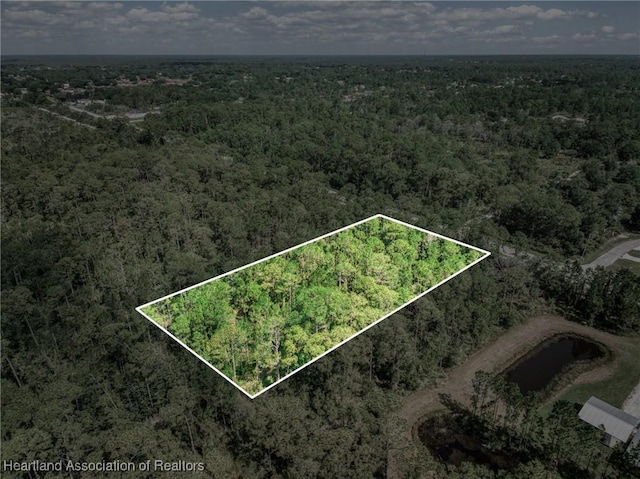2483 Hammock Rd, Sebring, FL 33872 - photo 18