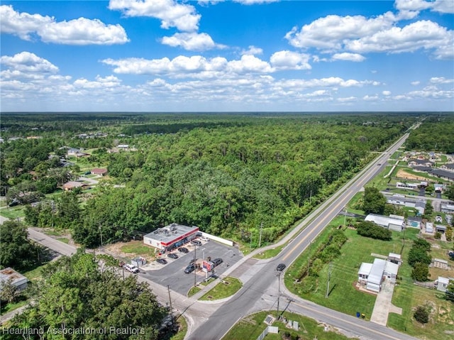 2483 Hammock Rd, Sebring, FL 33872 - photo 5