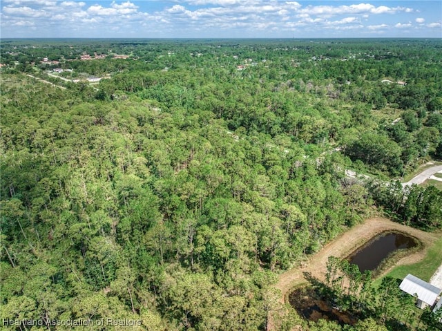 2483 Hammock Rd, Sebring, FL 33872 - photo 12