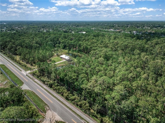 2483 Hammock Rd, Sebring, FL 33872 - photo 9