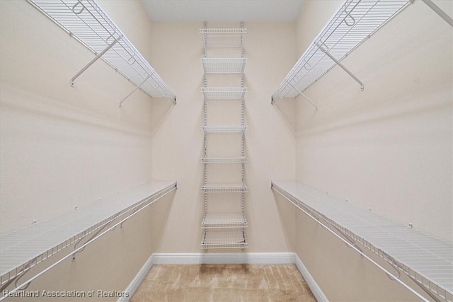 walk in closet with light colored carpet