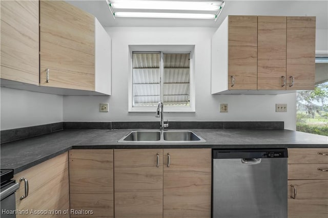 kitchen with dishwasher and sink