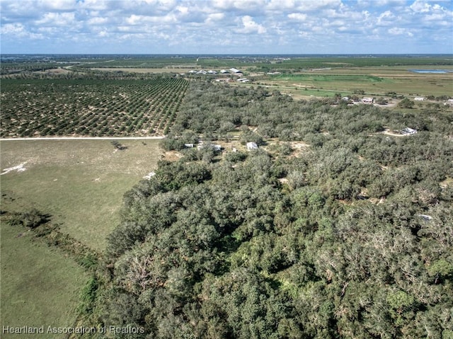 drone / aerial view featuring a rural view