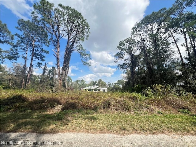 Listing photo 3 for 1049 Redbird St, Lake Placid FL 33852