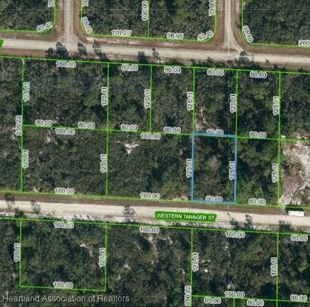 3449 Western Tanager St, Lake Placid FL, 33852 land for sale