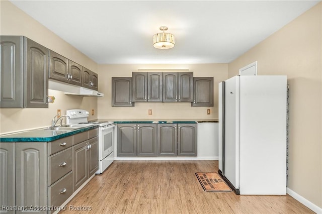 kitchen featuring light wood-type flooring, white appliances, gray cabinets, and sink