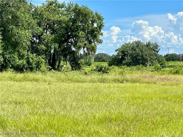 view of local wilderness