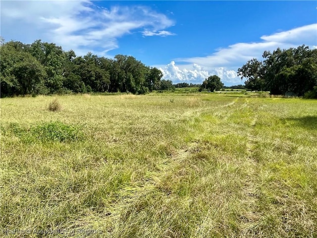 view of landscape featuring a rural view