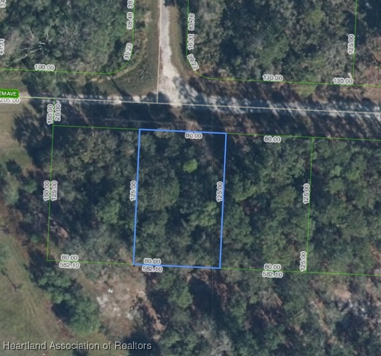 3110 Salem Ave, Lake Placid, FL 33852 - photo 3