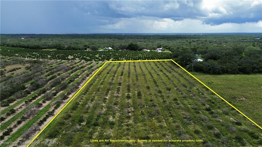 6000 Old Plantation Ave, Sebring, FL 33876 - photo 2