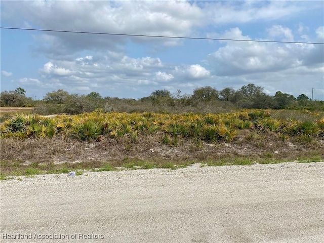 725 S Landry Rd, Avon Park FL, 33825 land for sale