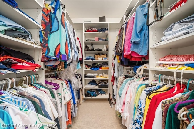 2351 Lakeview Dr Unit 219, Sebring, FL 33870 - spacious closet featuring carpet floors