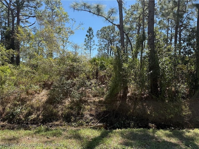 966 Challenger St NW, Lake Placid FL, 33852 land for sale