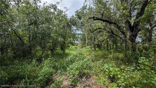 Sasser Rd, Zolfo Springs, FL 33890