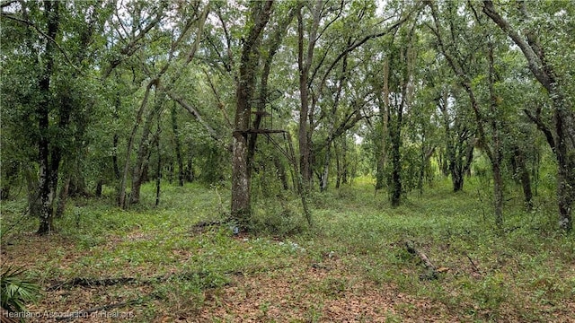 Sasser Rd, Zolfo Springs, FL 33890