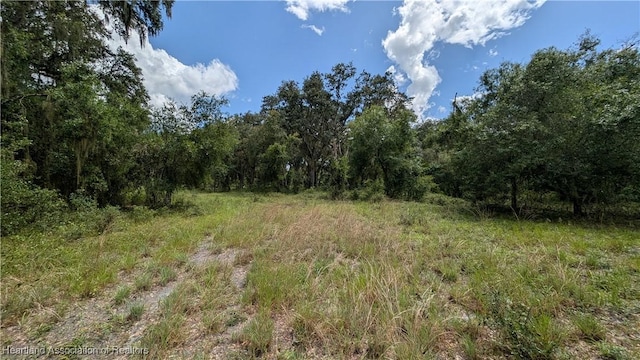 Sasser Rd, Zolfo Springs, FL 33890