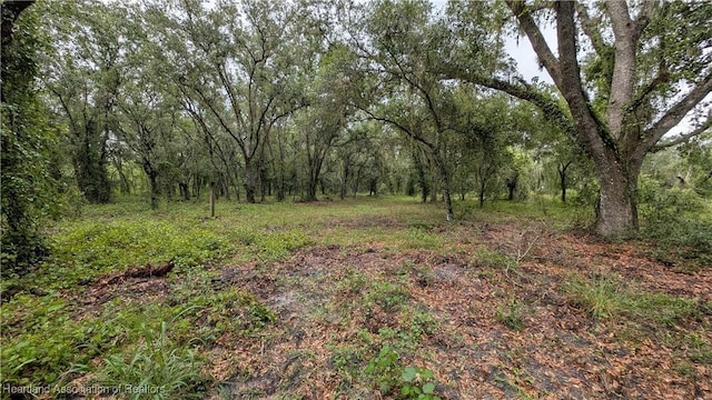 Sasser Rd, Zolfo Springs, FL 33890