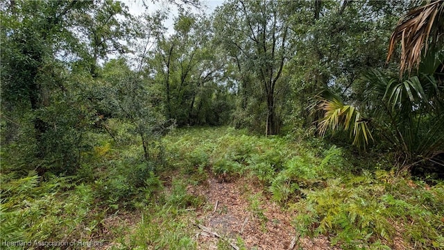 Sasser Rd, Zolfo Springs, FL 33890