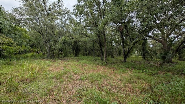 Sasser Rd, Zolfo Springs, FL 33890