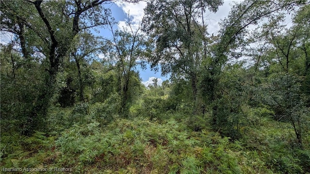 Sasser Rd, Zolfo Springs, FL 33890