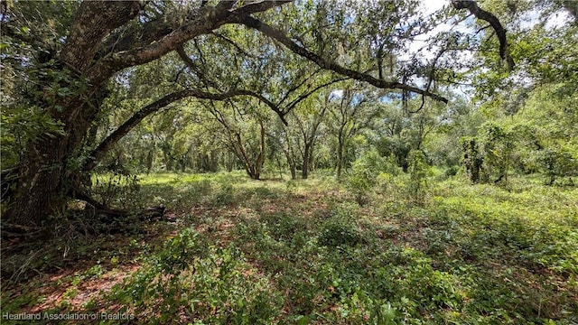 Sasser Rd, Zolfo Springs, FL 33890