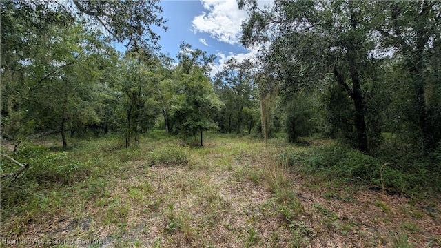 Sasser Rd, Zolfo Springs, FL 33890