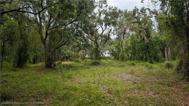 Sasser Rd, Zolfo Springs, FL 33890