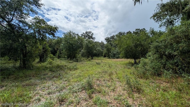 Sasser Rd, Zolfo Springs, FL 33890