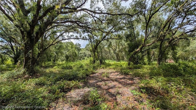 Sasser Rd, Zolfo Springs, FL 33890