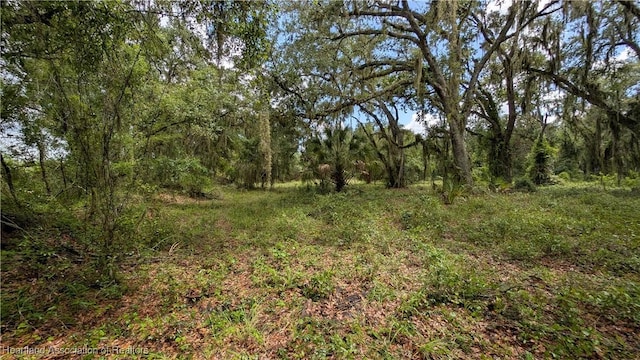 Sasser Rd, Zolfo Springs, FL 33890