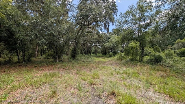 Sasser Rd, Zolfo Springs, FL 33890
