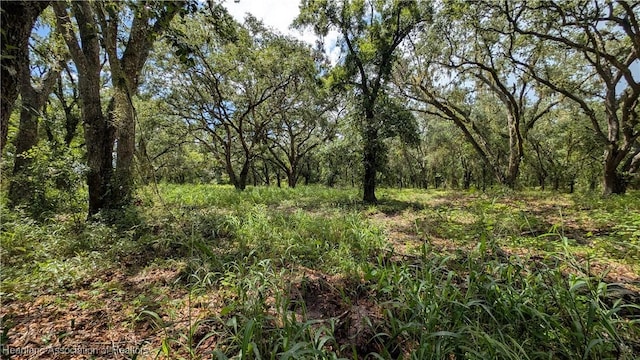 Sasser Rd, Zolfo Springs, FL 33890