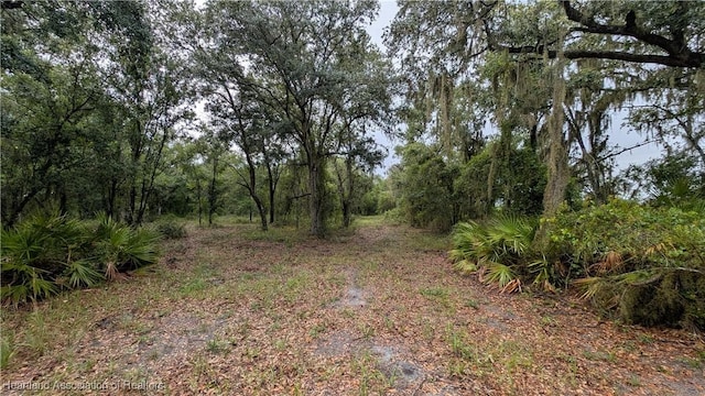 Sasser Rd, Zolfo Springs, FL 33890