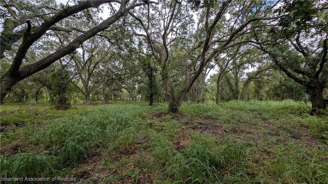 Sasser Rd, Zolfo Springs, FL 33890