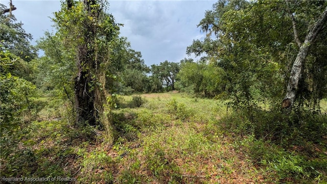 Sasser Rd, Zolfo Springs, FL 33890