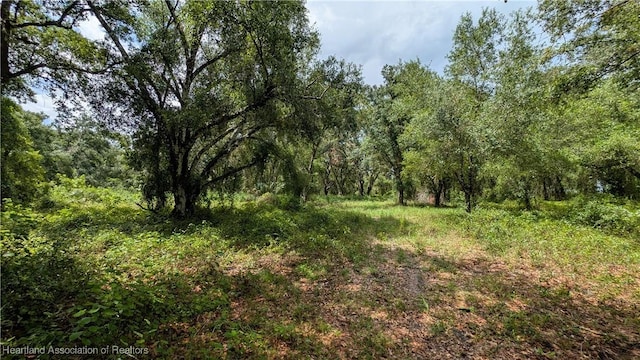 Sasser Rd, Zolfo Springs, FL 33890