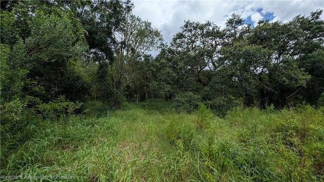Sasser Rd, Zolfo Springs, FL 33890